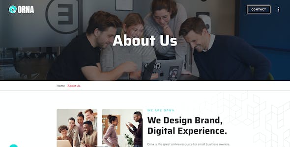 將Vi標準的核心元素在網站設計中突出展現