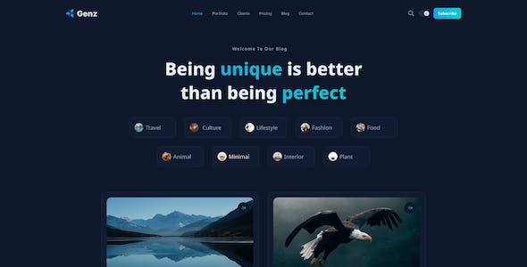 網站開發(fā)中的版本控制工具的選擇